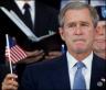 bush_s.jpg
