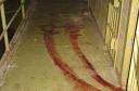 bloodtracks.jpg
