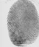 Fingerprint.jpg