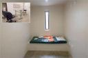 hicks cell.jpg