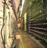 telephone exchange.jpg