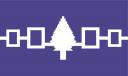 iroquois-flag.jpg