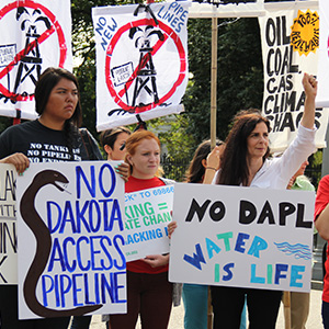 dapl-photo-b-action