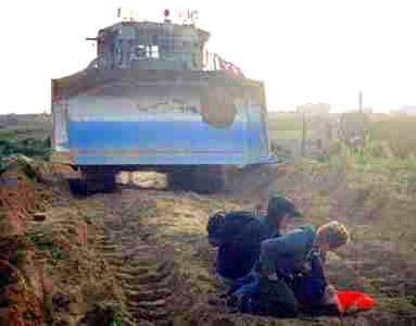 rachelcorrie2