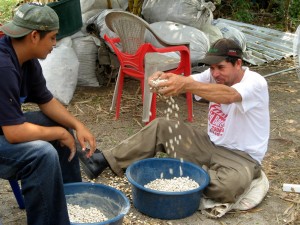 seedbank