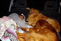 sleepingincar.JPG
