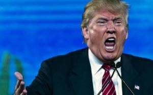 trumpidiota.jpg_1733209419